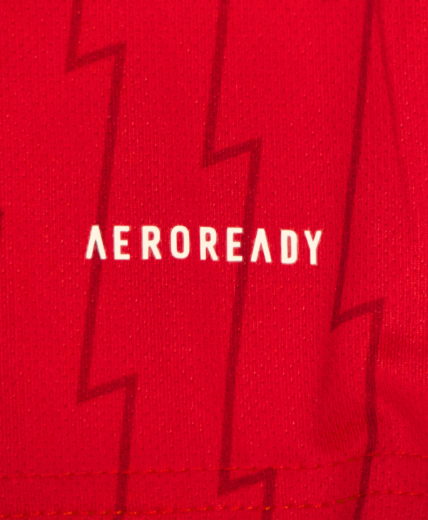 Imagen del detalle del logotipo Aeroready en la camiseta de local del Arsenal de la temporada 2023-2024.